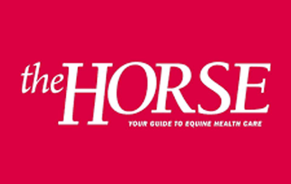 About us on the Magazine The Horse.com