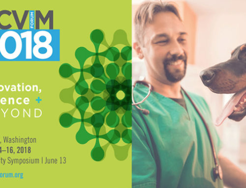 Veterinary Oncology Research at the 2018 ACVIM forum